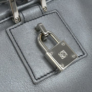 Loewe Silver Lambskin Amazona 28 Handbag 070402 115719