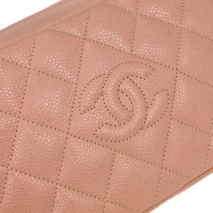 Chanel Pink Calfskin Camera Bag 125095