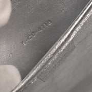 Celine Silver Leather Nano Luggage Tote Bag S-CU-4118 134745