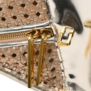 Loewe Silver Leather Amazona 36 Handbag 010207 144767