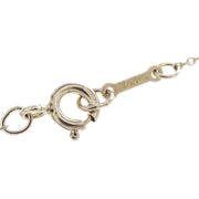 Tiffany & Co. Daisy Pendant Necklace SV925 Silver 144877