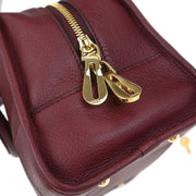 Loewe Bordeaux Amazona 28 Handbag 011007 145104