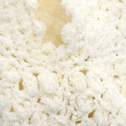 Chanel Short Sleeve Top White 03P #40 154436