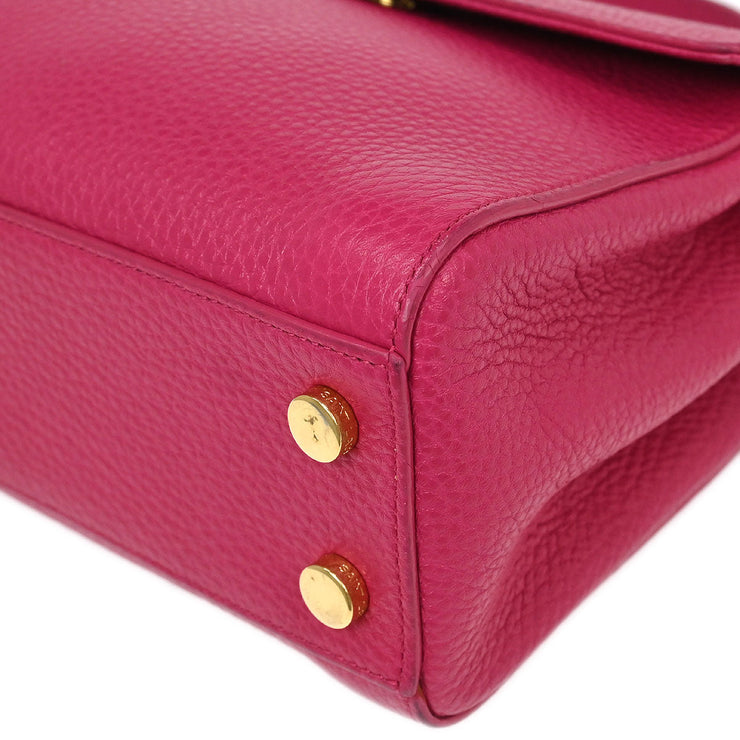 Saint Laurent Pink Leather Moujik 2way Handbag PTR355157.0614 166437
