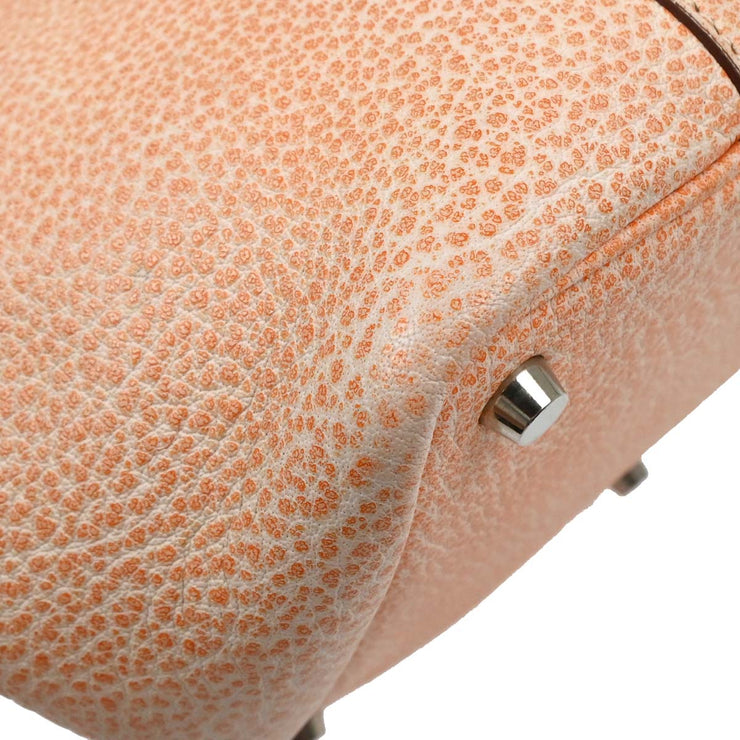 Hermes Orange Dalmatian Picotin 18 PM Handbag C F 166631