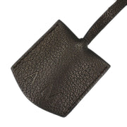 Loewe Metallic Brown Amazona 36 Handbag 060910 166674