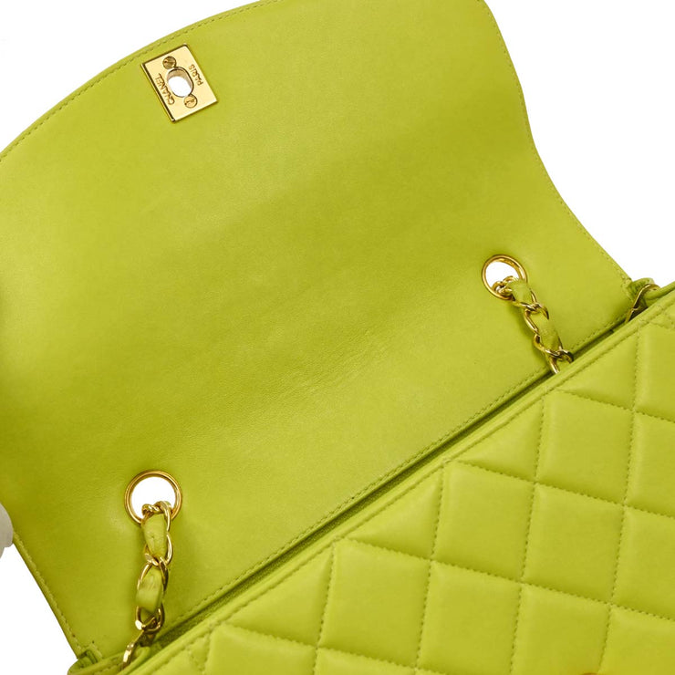 Chanel Light Green Lambskin Medium Diana Shoulder Bag 177278