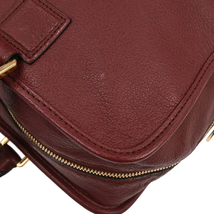 Loewe Bordeaux Amazona 36 Handbag 011004 177614