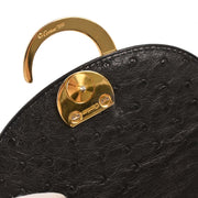 Cartier Black Ostrich Panthere Handbag AUTRUCHE VERITABLE 195786