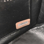 Chanel Black Calfskin Camera Bag Mini 196077