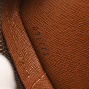 Louis Vuitton Monogram Amazon Crossbody Bag M45236 TJ3160 196210