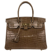 Hermes Ficelle Niloticus Birkin 30 Handbag TPI222 IT 196390