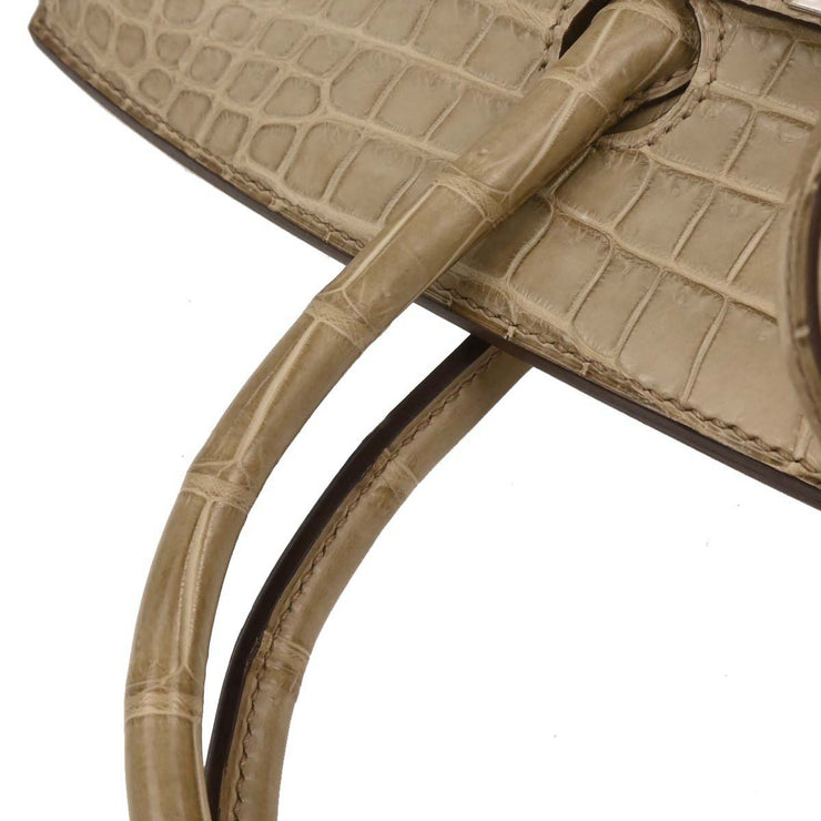 Hermes Poussiere Mat Porosus Birkin 35 Handbag Square:Q 17.S 196400