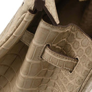 Hermes Poussiere Mat Porosus Birkin 35 Handbag Square:Q 17.S 196400
