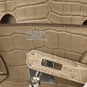 Hermes Poussiere Mat Porosus Birkin 35 Handbag Square:Q 17.S 196400